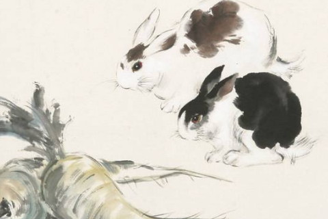 1951年出生属兔的人命运 属兔的人1951年出生是什么命