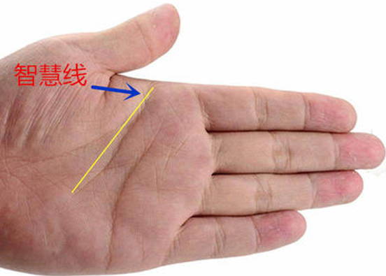 女人右手手相图解大全，生命线代表一个人的健康