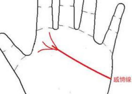 如何看手相感情线，感情线延伸到食指下方性格浪漫