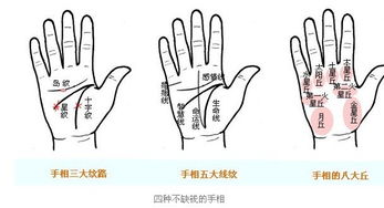 掌纹图解女右手详解:女生右手每条掌纹各代表的意思是什么？