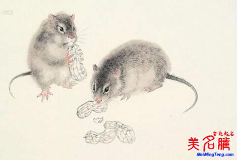 鼠年宝宝带米字的小名:鼠年宝宝小名 鼠年宝宝乳名