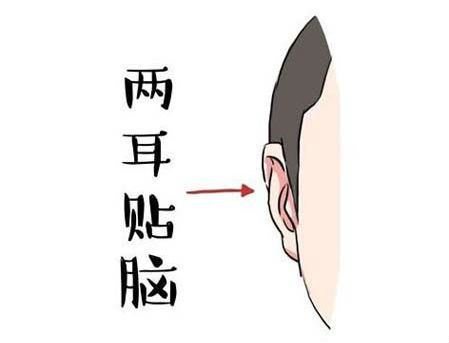 这三种类型的耳朵有福气