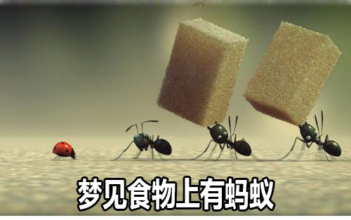 做梦梦到食物上有蚂蚁是什么征兆 说明什么