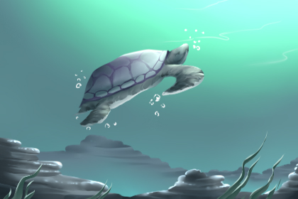 养巴西龟有什么说法 风水怎么样