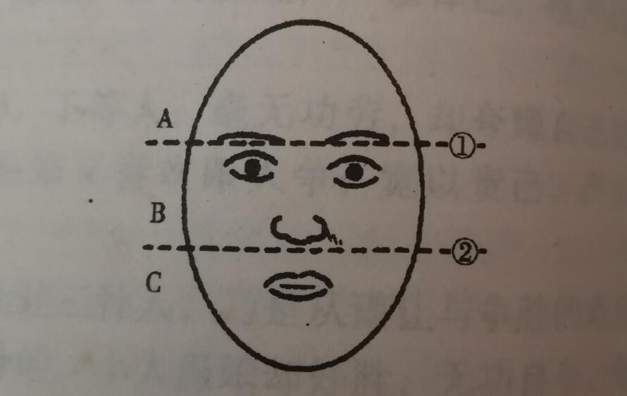 脸型基本上可以分类为七型 你属于哪一类？