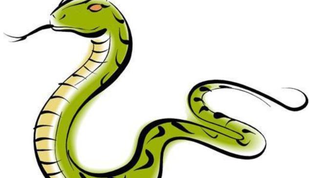 属蛇的是哪年出生的  属蛇的人2021年的运势及运程