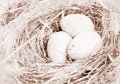 孕妇梦见鸟蛋是什么意思 孕妇梦见鸟蛋的运势